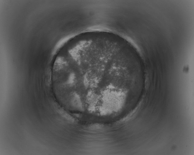 X0000092291358200710121425