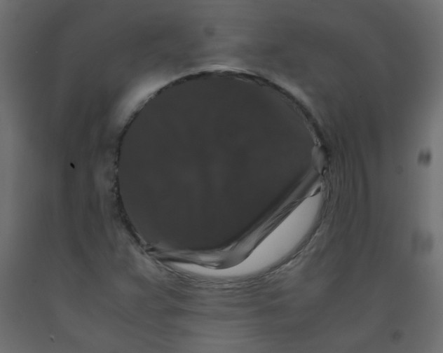 X0000092291359200710121425