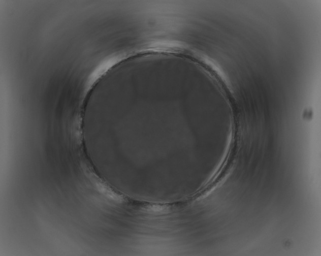 X0000092291362200710121425