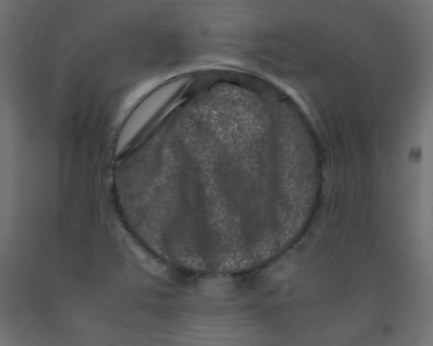 X0000092291363200710121425