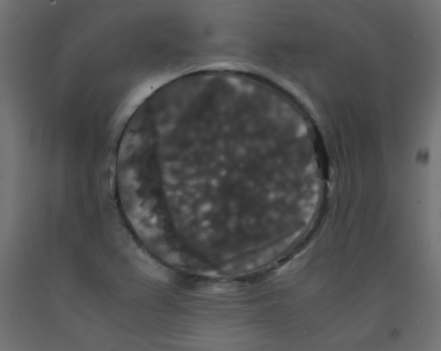 X0000092291367200710121425