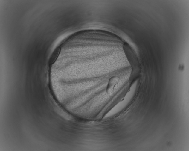 X0000092291368200710121425