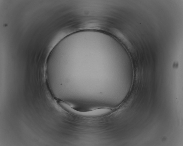 X0000092291370200710121425