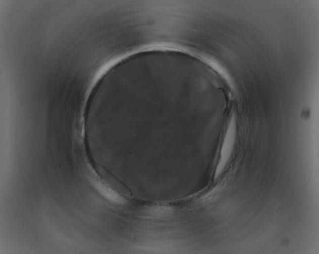 X0000092291372200710121425