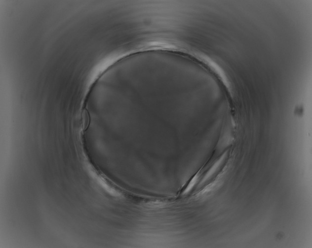 X0000092291373200710121425