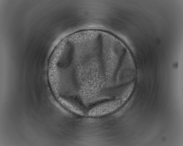 X0000092291374200710121425