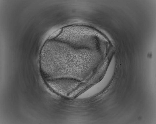 X0000092291375200710121425