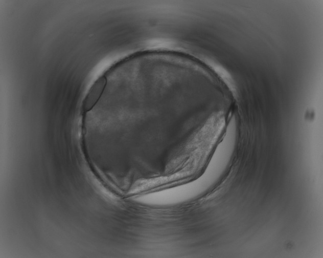 X0000092291376200710121425