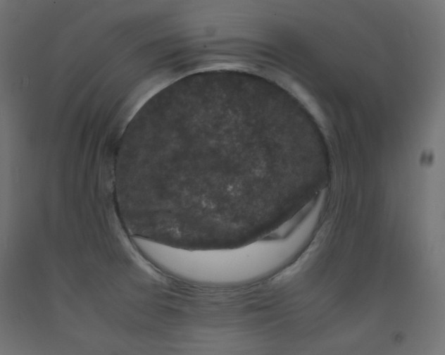 X0000092291377200710121425