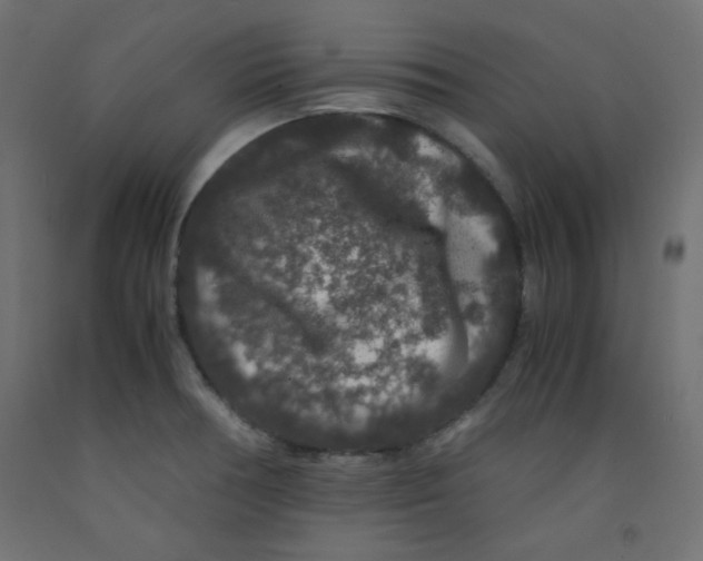 X0000092291378200710121425