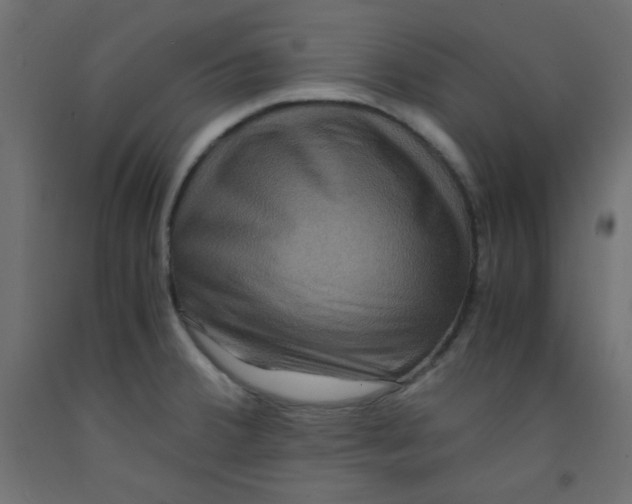 X0000092291380200710121425