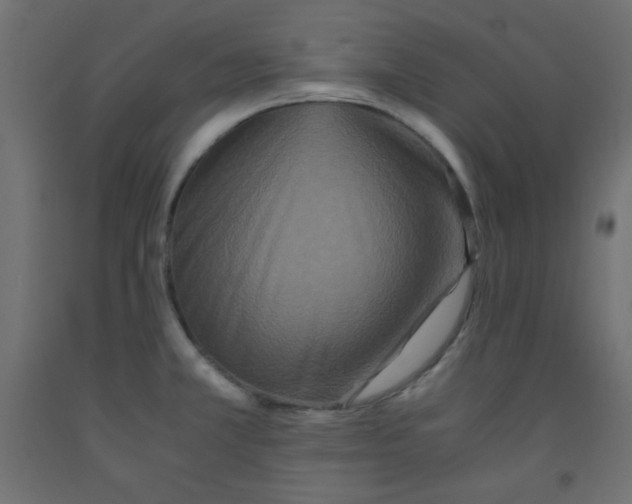 X0000092291381200710121425