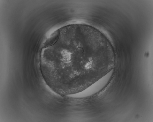 X0000092291382200710121425