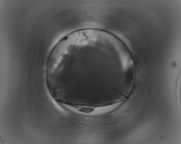 X0000092291383200710121425