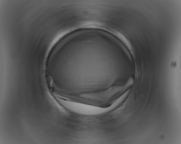 X0000092291384200710121425