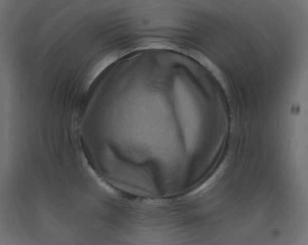 X0000092291385200710121425