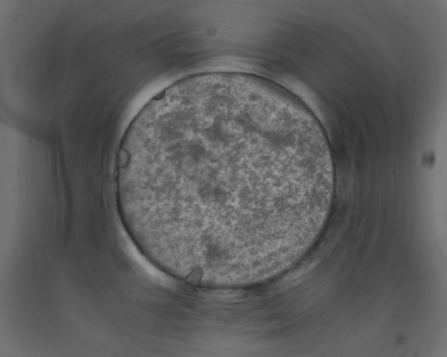 X0000092291387200710121425