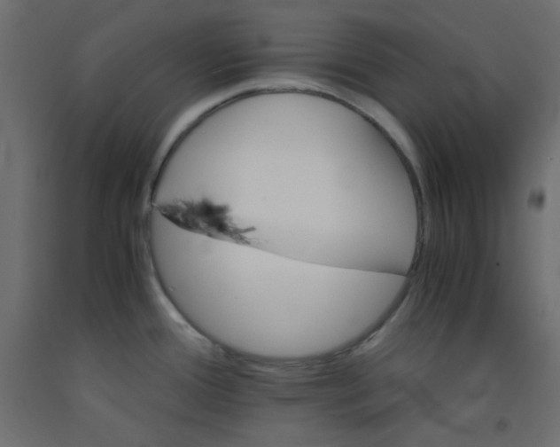 X0000092291388200710121425