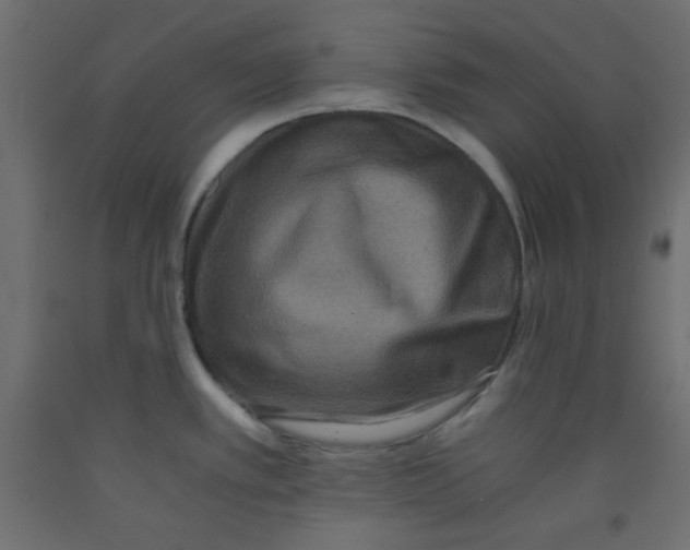 X0000092291389200710121425