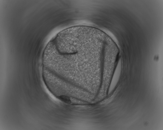 X0000092291391200710121425