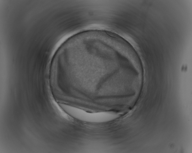 X0000092291392200710121425