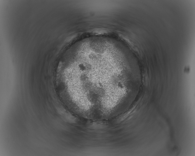 X0000092291393200710121424