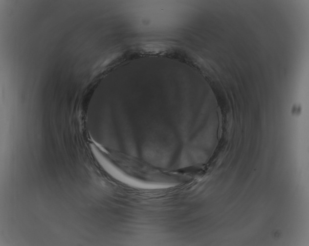 X0000092291394200710121424