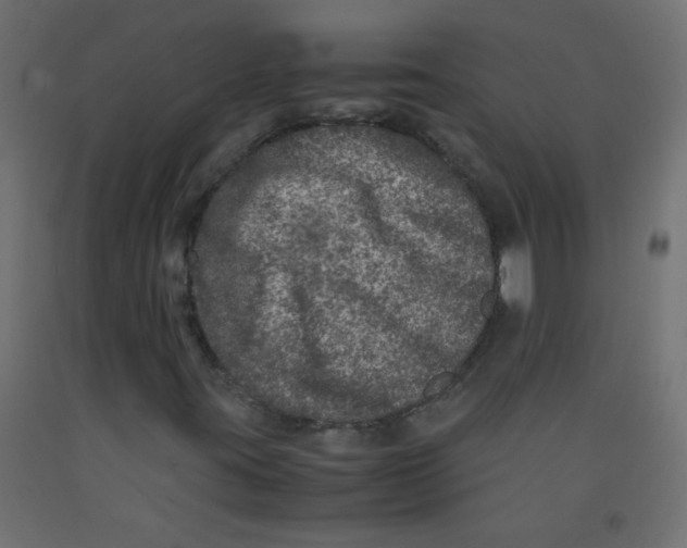 X0000092291395200710121424