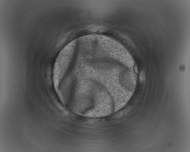 X0000092291396200710121424