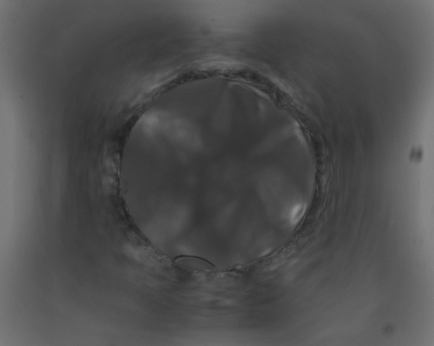 X0000092291397200710121424