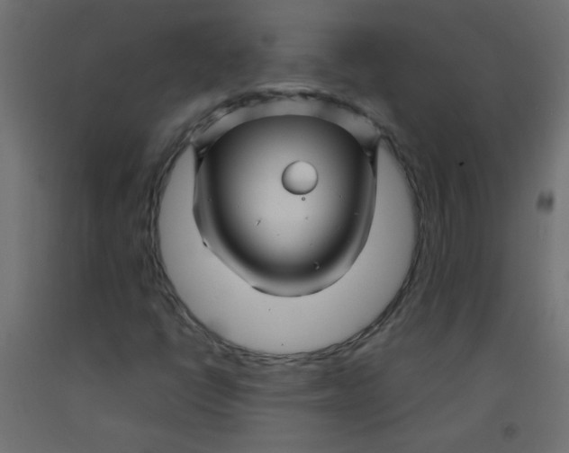 X0000092291398200710121425