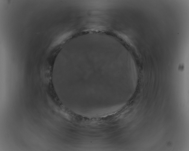 X0000092291399200710121425