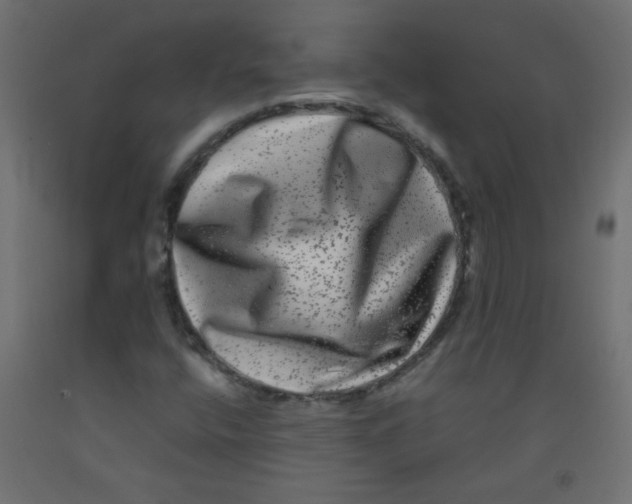 X0000092291400200710121425