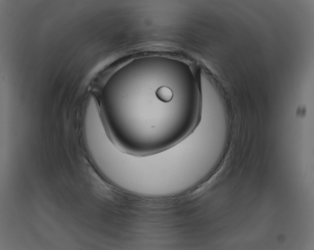 X0000092291402200710121425