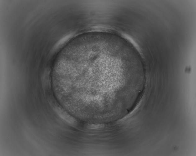 X0000092291403200710121425