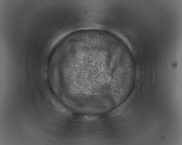 X0000092291407200710121425