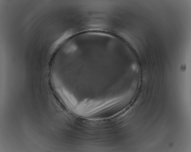 X0000092291411200710121425