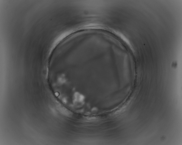 X0000092291413200710121425