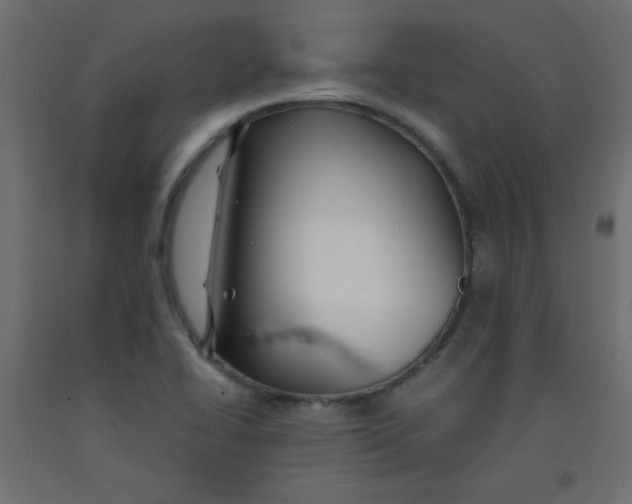 X0000092291414200710121425