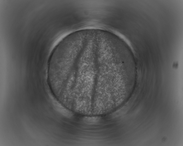 X0000092291415200710121425