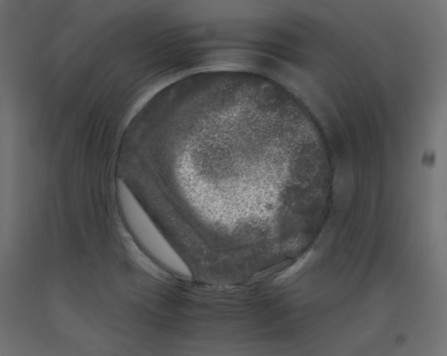 X0000092291417200710121425