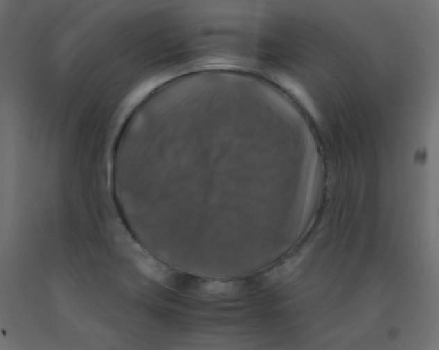 X0000092291419200710121425