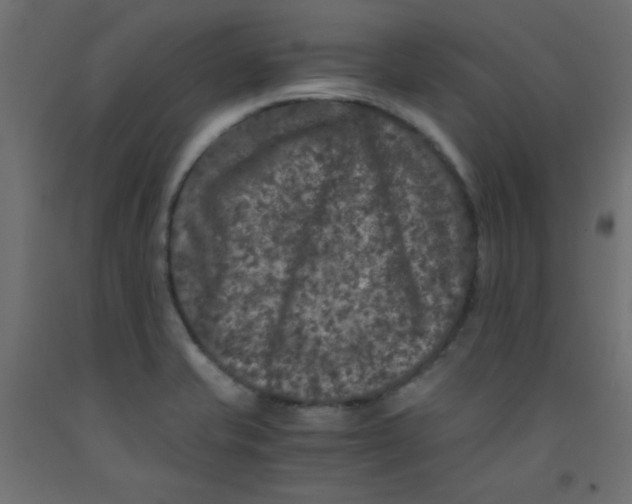 X0000092291421200710121425