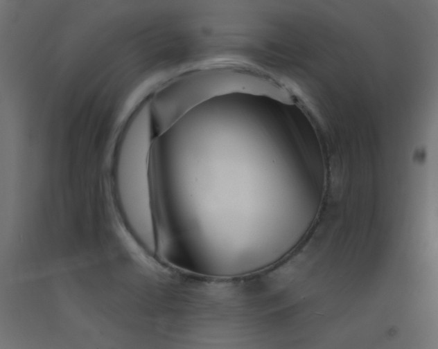 X0000092291422200710121425