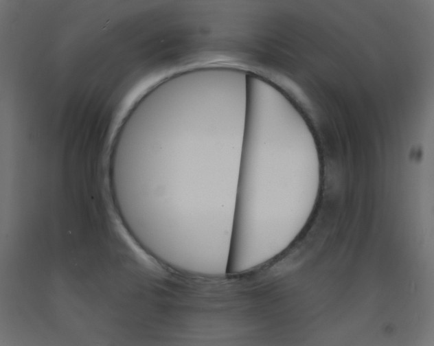 X0000092291424200710121425