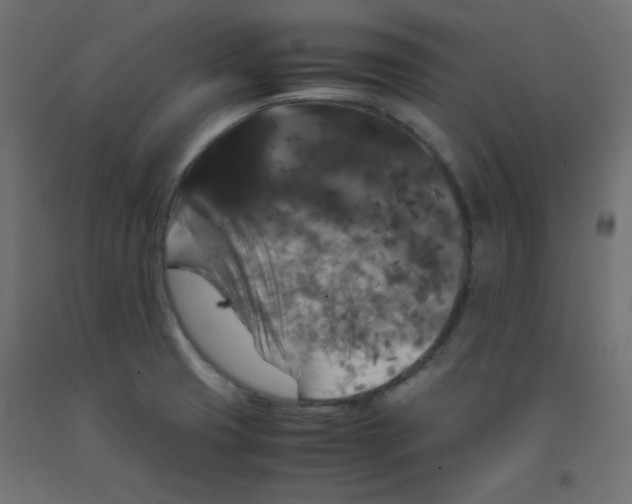 X0000092291425200710121425