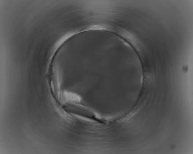 X0000092291427200710121425