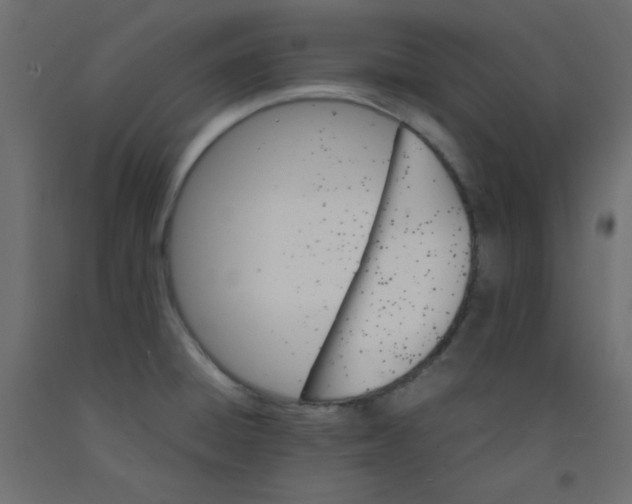 X0000092291428200710121425