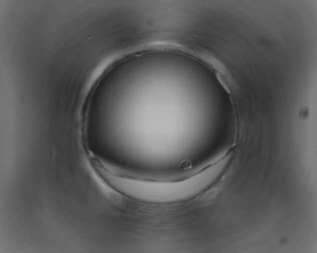 X0000092291430200710121425