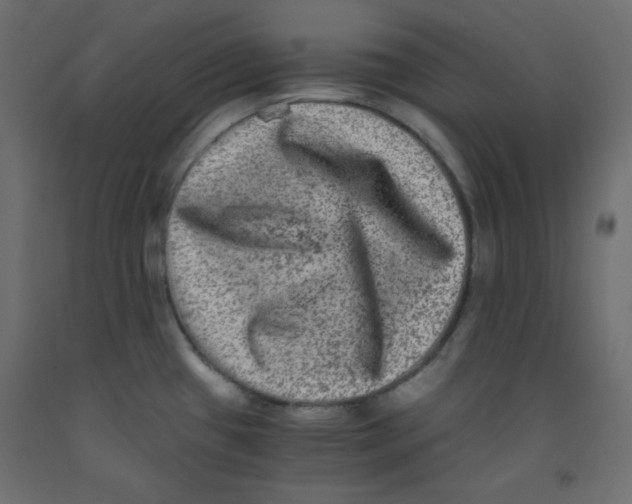 X0000092291433200710121425